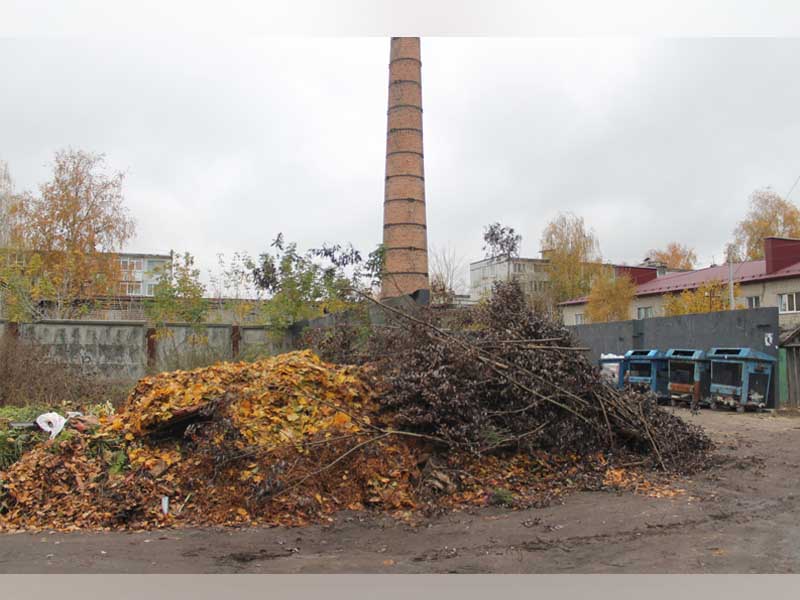 Все хотят жить в чистоте, но кто тогда бросает мусор….