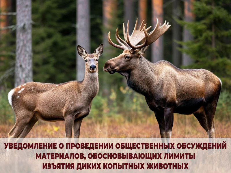 Уведомление о проведении общественных обсуждений материалов.