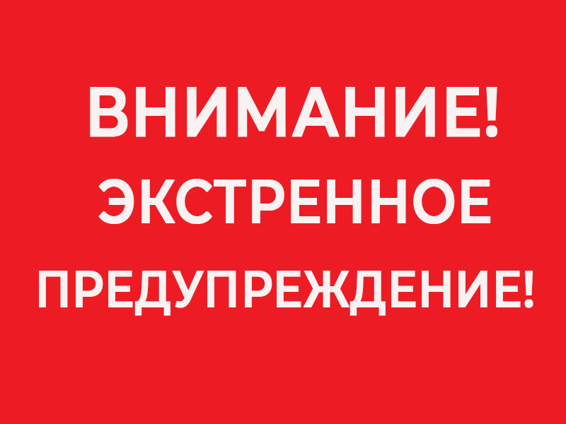 Ливни с грозами, град, порывы ветра 15-20 м/с на территории Брянской области 12 июля 2025 года..