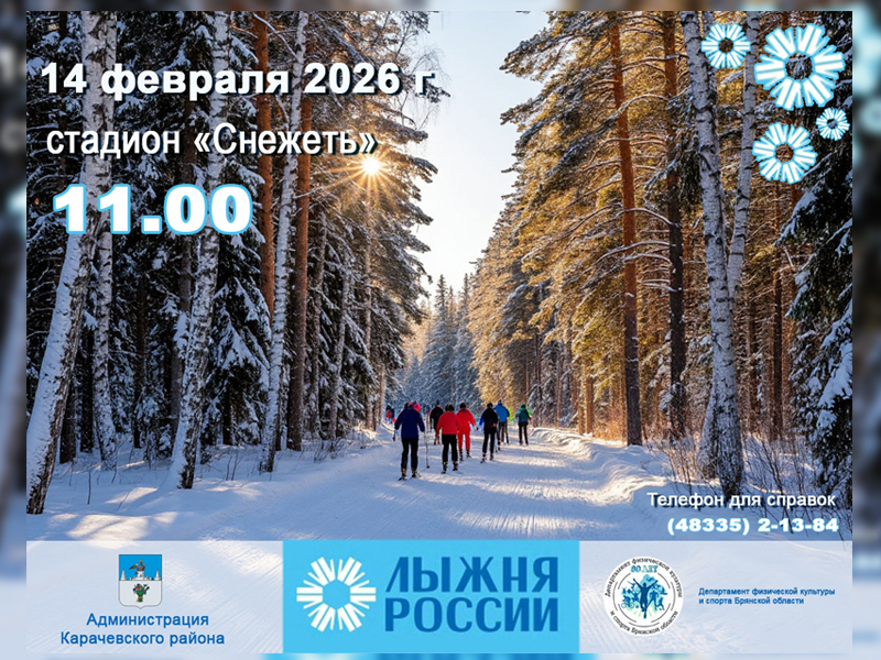 Все на лыжню!.