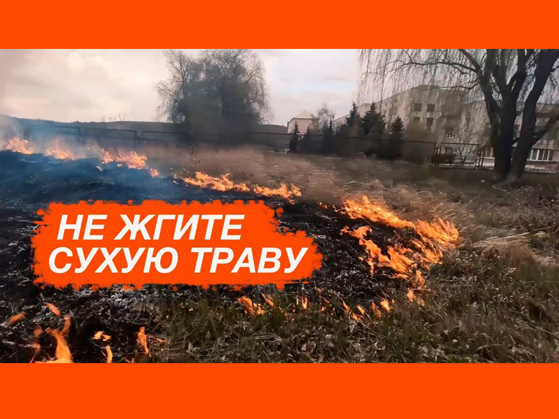 В Брянской области проводится профилактический  месячник «Сухая трава».