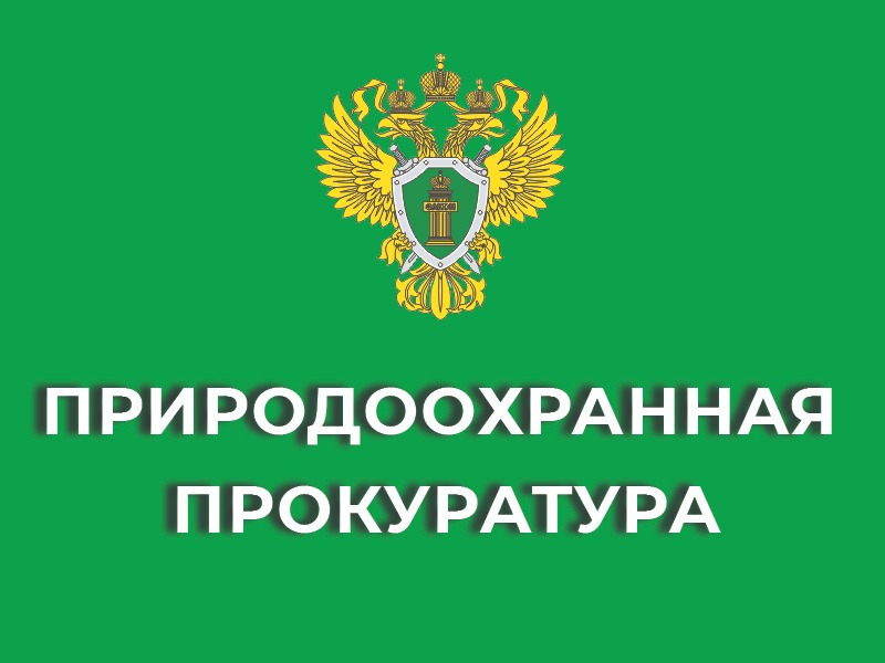 Новый Порядок государственной или муниципальной экспертизы проекта освоения лесов.