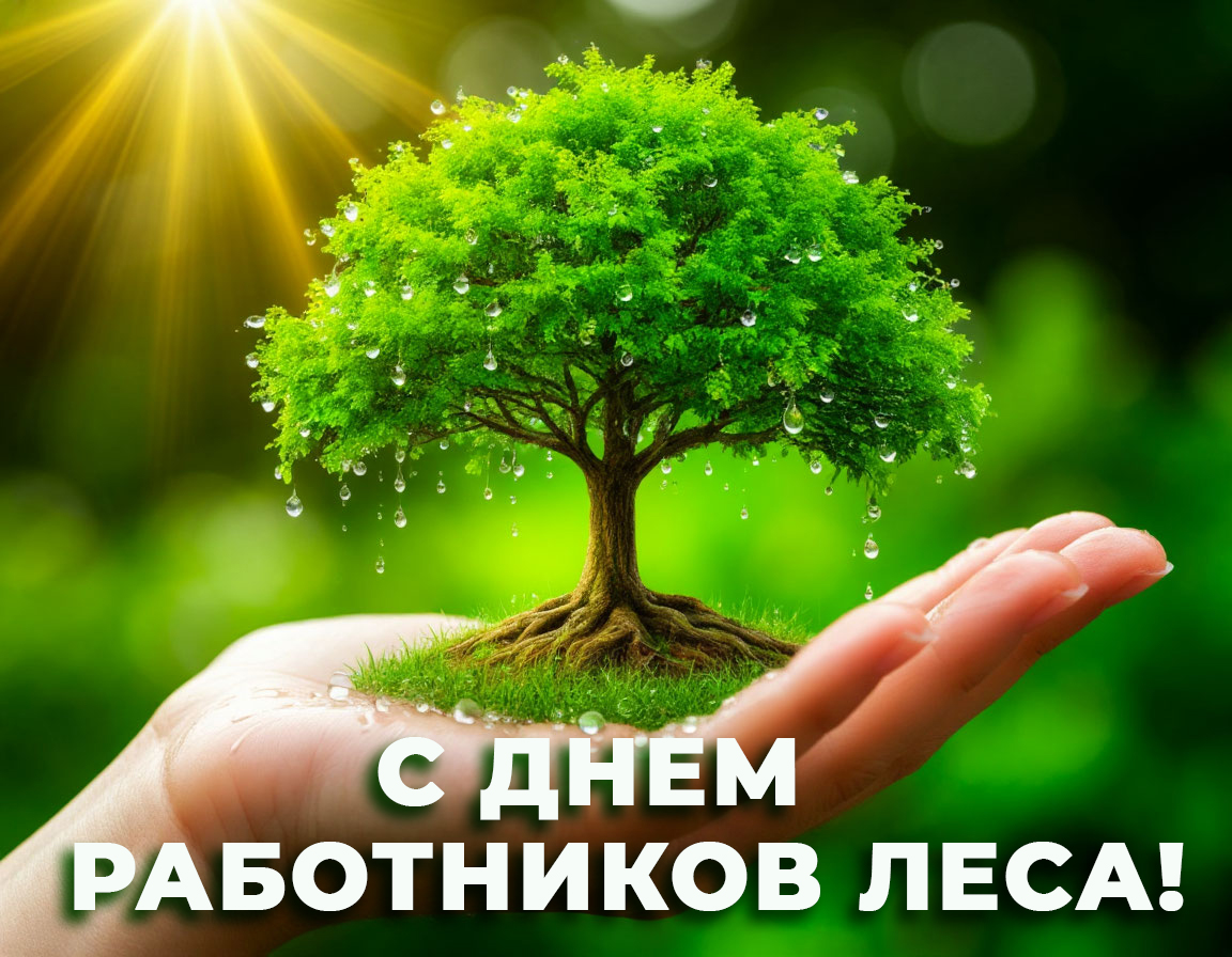 С Днем работников леса!.